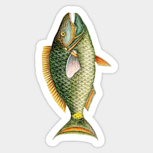 Fish Drawing Sticker